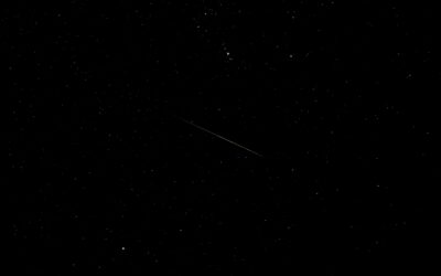 The discovery of dark comets: A new clue in the search for Earth’s water origins