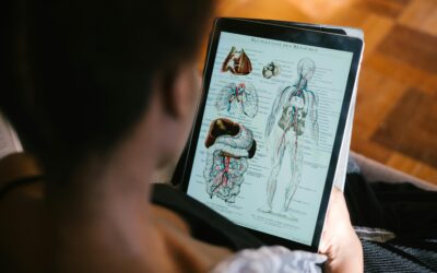 Can humans regrow lost fingers? Surprising findings on regeneration