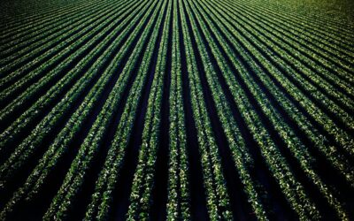 John Deere revolutionizes agriculture and construction with autonomous technology